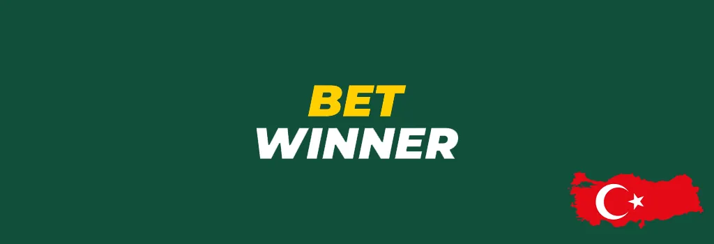 Sorumluluk Reddi ve Kullanım Şartları - Betwinnerindir.net
